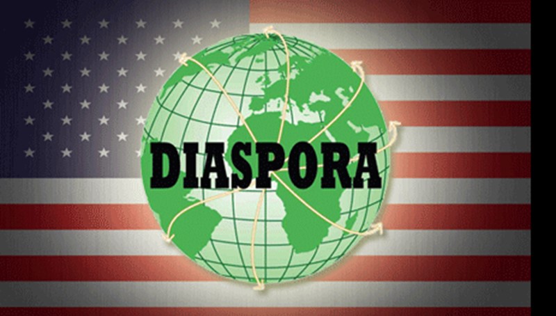 usa and diaspora flag 