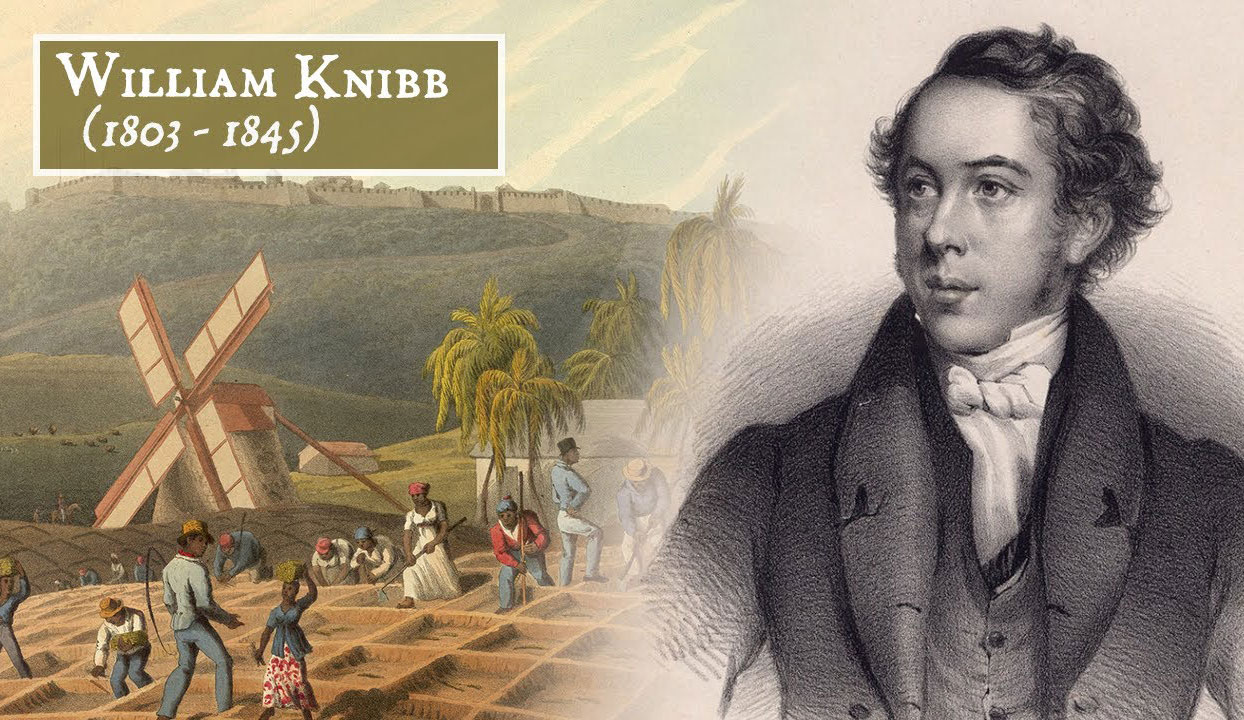 William Knibb was born in Kettering, Northamptonshire, in 1803. In 1822 William became a Baptist and the following year William’s older brother Thomas went to Jamaica as a school teacher, under the auspices of the Baptist Missionary Society. He died only 14 months later, and William offered to take his place. While in Jamaica he studied for a little over year to become a preacher and was attached to the Fullersfield Baptist Church in Westmoreland before being transferred to the Falmouth Baptist Church.